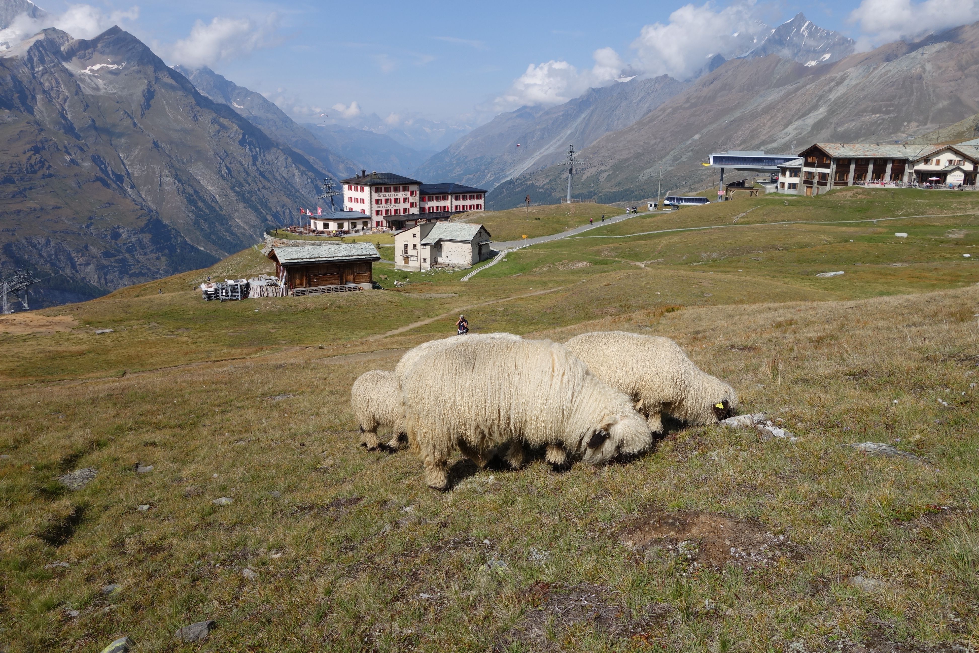 Gornergrat